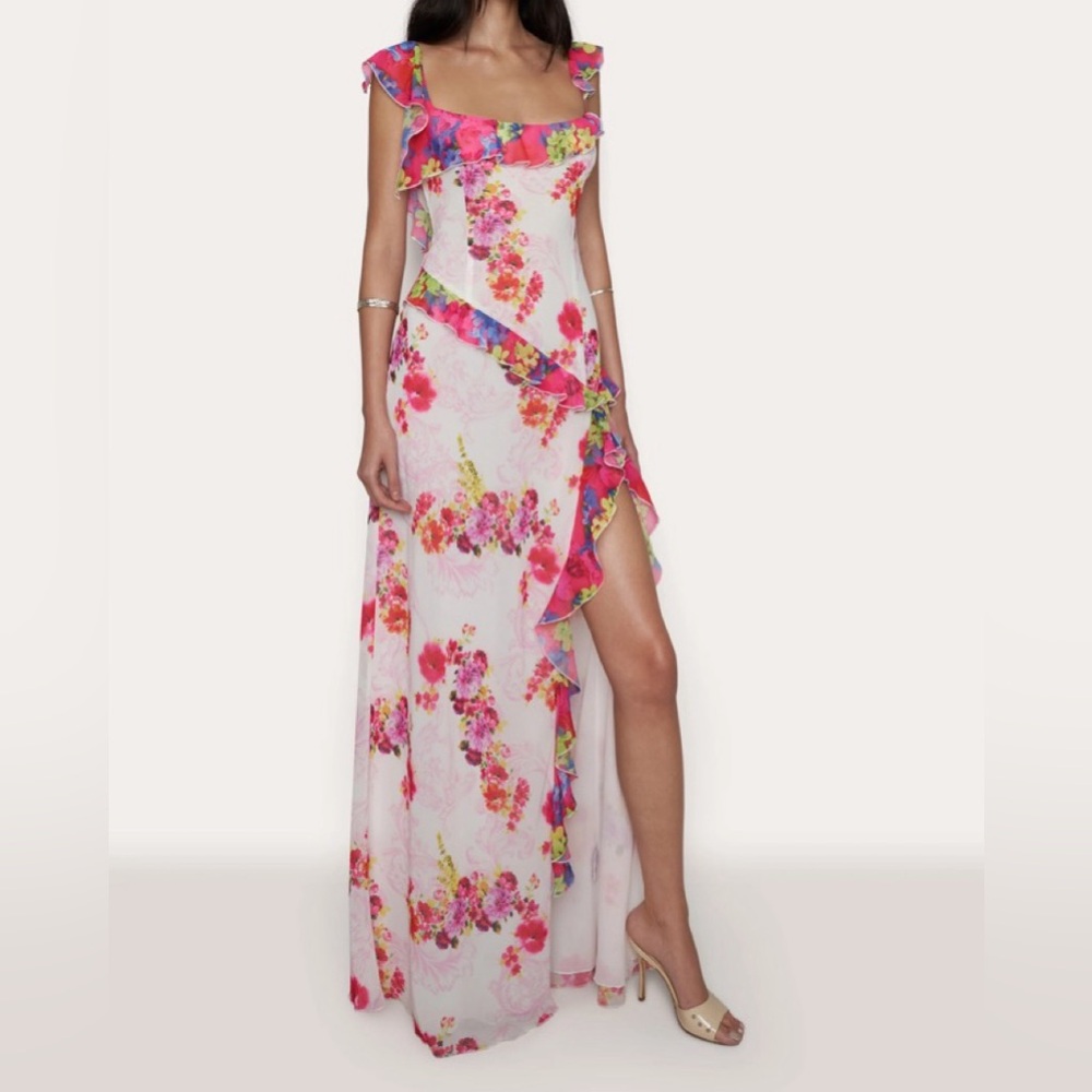 Guizio Avila Printed Ruffle Gown Small NWT